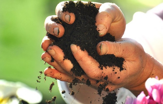 Pflanzen Tipps & Pflanzen Infos @ Pflanzen-Info-Portal.de |  MikroBiotiX e. U.  Kompostierung in der Kueche mit Effektiven Mikroorganismen